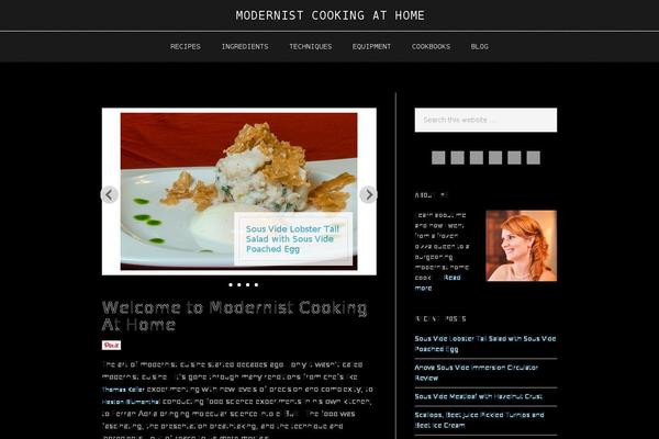 Site using Pinterest "Pin It" Button plugin
