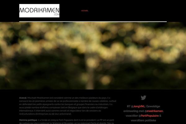 Agent theme site design template sample