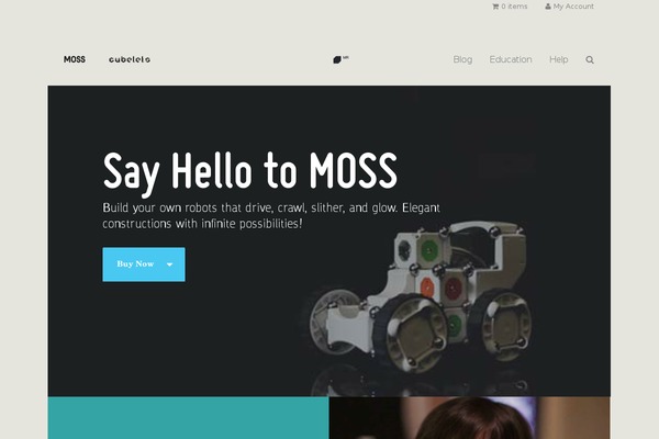 Hello-elementor-child theme site design template sample