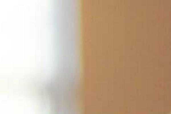 Site using Counterize plugin