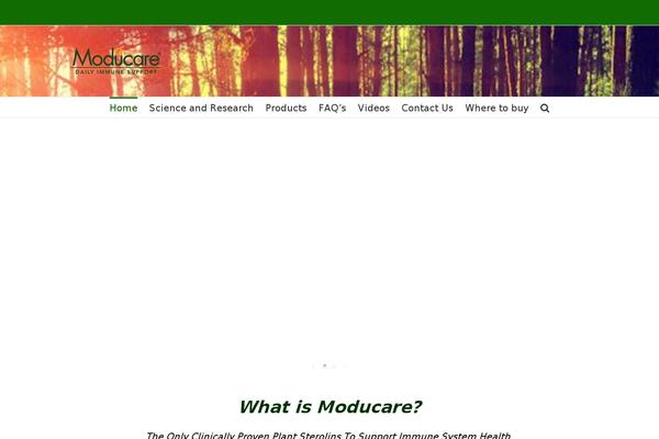 Avada theme site design template sample