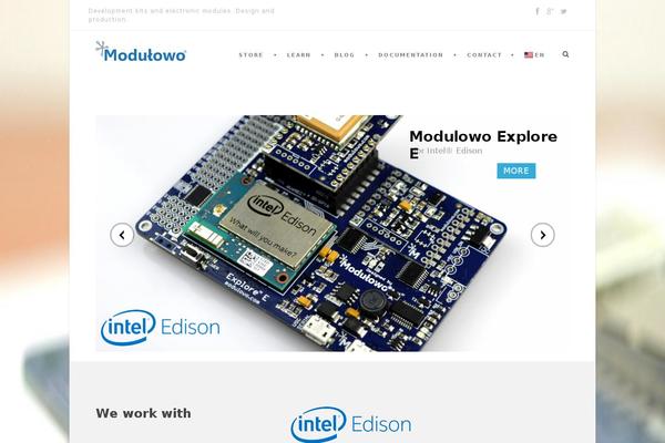 Site using Widget-options plugin