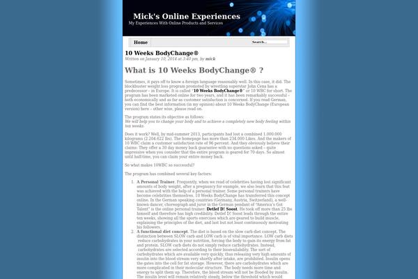 Blue Basic theme site design template sample