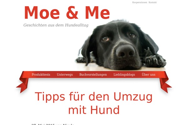 Site using SearchWP Live Ajax Search plugin