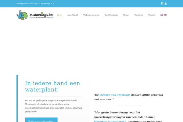 The-core-child theme site design template sample