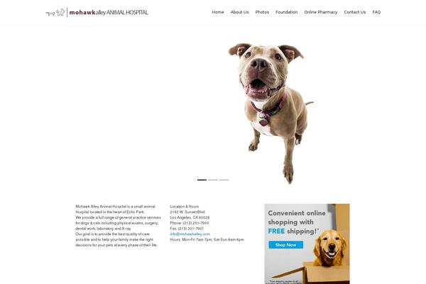 theme46384 theme websites examples