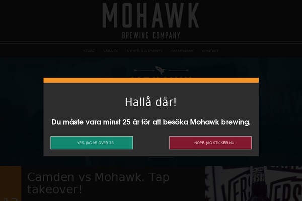 Site using Instagram-feed-pro plugin