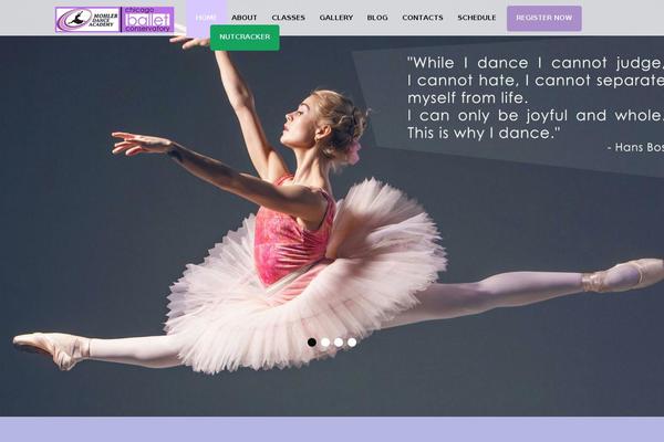 theme52373 theme websites examples