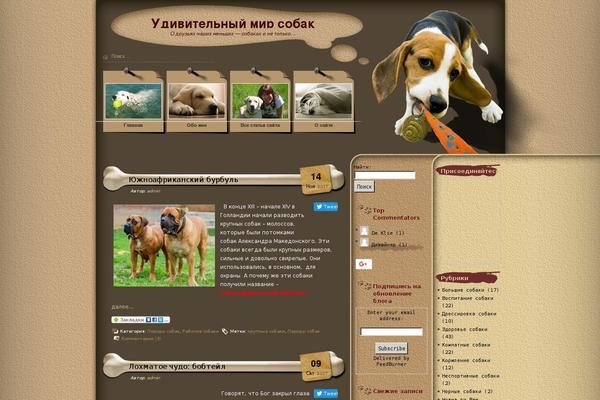 Site using Viper's Video Quicktags plugin