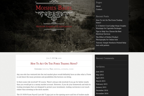 Typo-o-graphy theme site design template sample