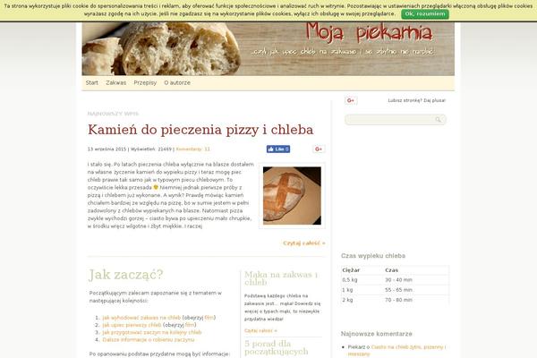 The Common Blog theme site design template sample