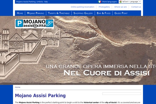 mojanoassisiparking.com site used Istituzionale