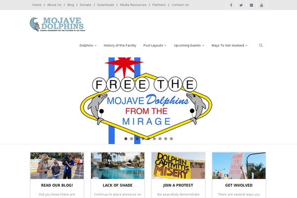 Enigma theme site design template sample