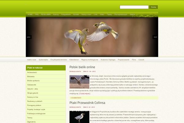 Oracle theme site design template sample