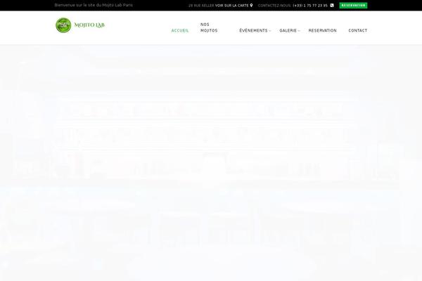 Chicago theme site design template sample