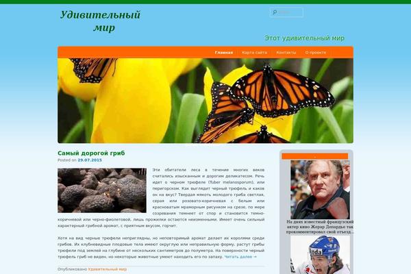 D5 Socialia theme site design template sample