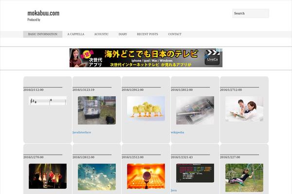 Site using SyntaxHighlighter Evolved plugin