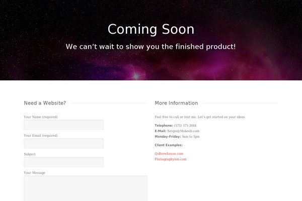 Vivacity theme site design template sample