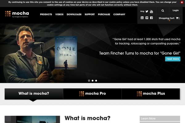 mokey.com site used Imagineer