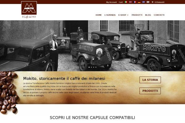 Divi Child theme site design template sample