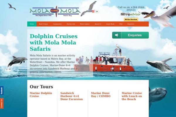 Site using Arscode-social-slider plugin