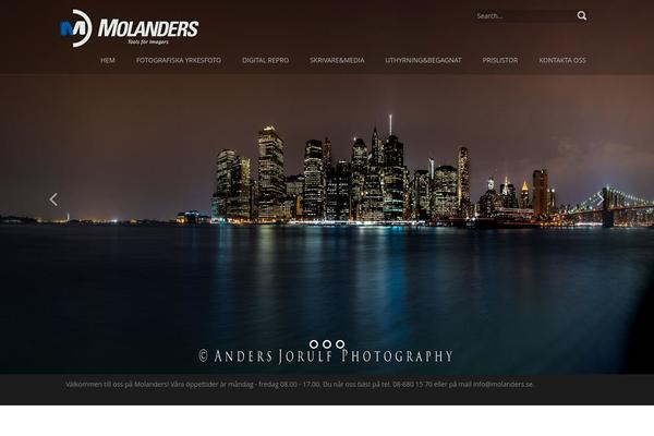 Meris theme site design template sample