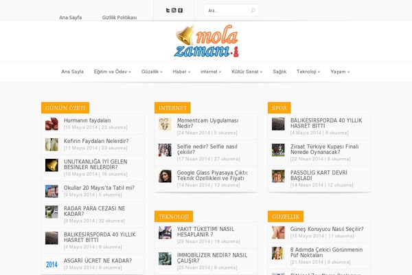 Schema Lite theme site design template sample