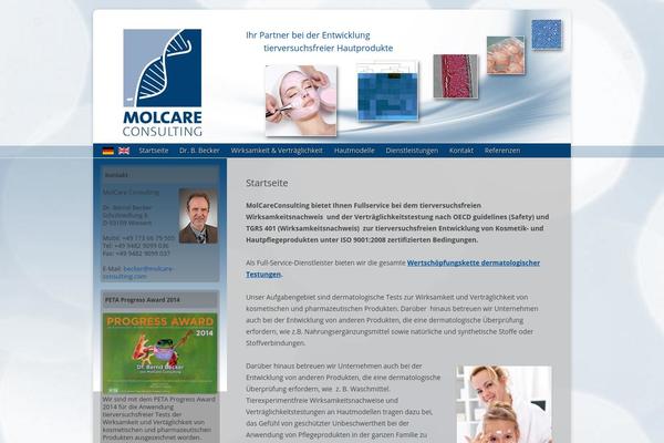 molcare-consulting.com site used Ff-webdesigner