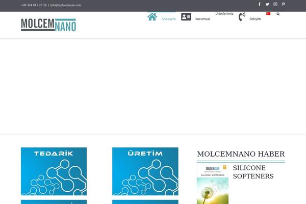Site using Latest Posts plugin