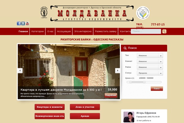 Locality theme site design template sample