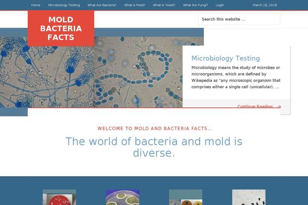 Education Pro theme site design template sample
