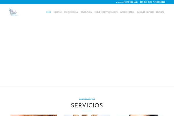 Isida theme site design template sample