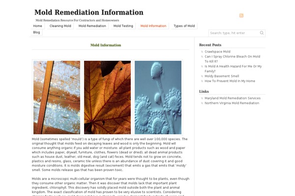 moldremediation101.com site used zSofa