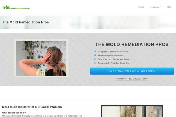 moldremediationpros.org site used Envision