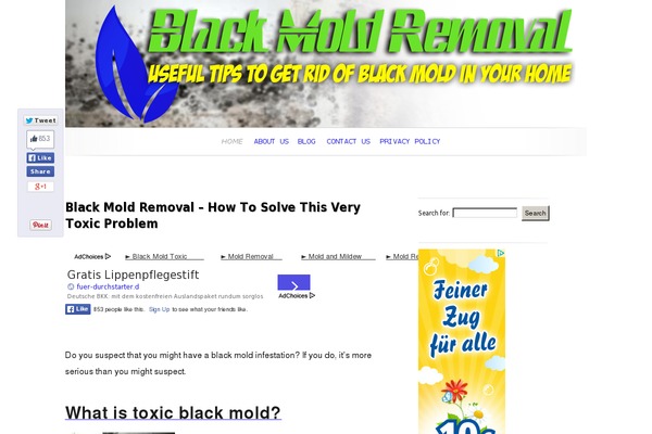 Site using ARK Related Posts plugin