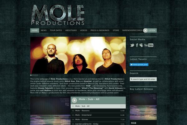rarenoise theme websites examples