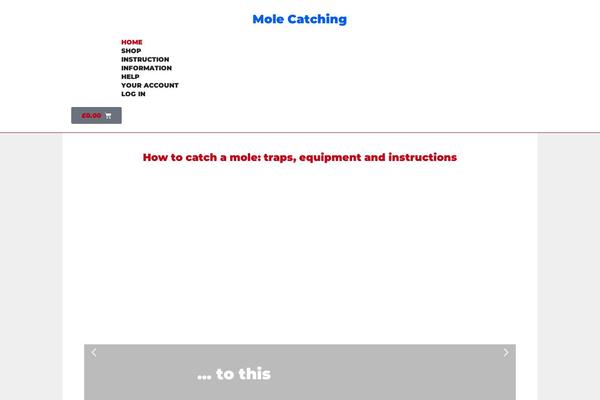 Site using Woo-conditional-product-fees-for-checkout plugin