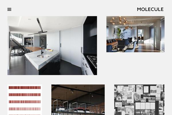 moleculeweb.com site used Molecule2015