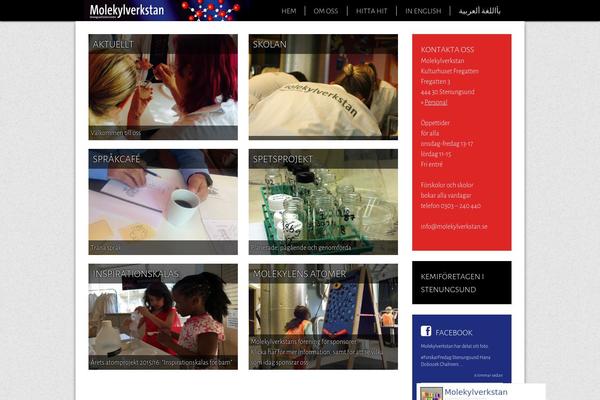 molekylverkstan.se site used Palladium