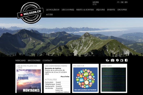 Site using Searchwp plugin