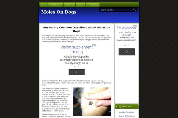 FlexSqueeze 2 theme site design template sample