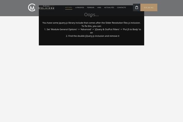 Jardiwinery theme site design template sample