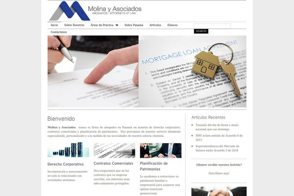 MiniBuzz 3 theme site design template sample