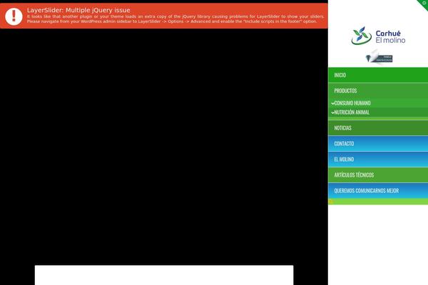 Site using Tco-email-forms plugin