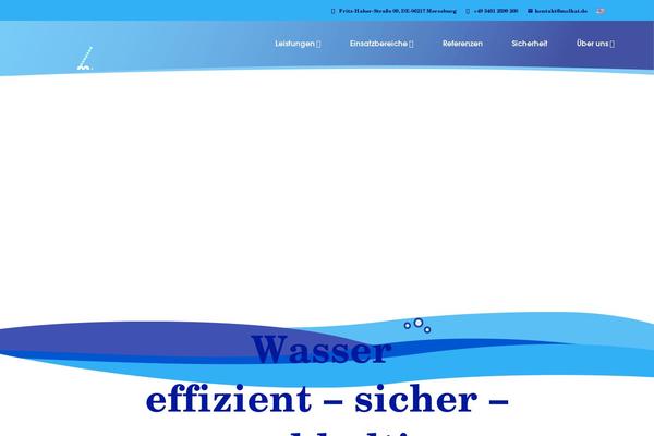 Site using Borlabs-cookie plugin