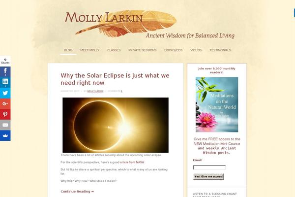 Site using Thrive Leads plugin