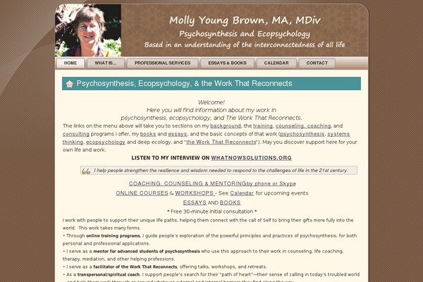 Site using Ajax Search Lite plugin