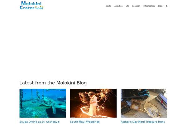 Site using Wp-rss-excerpts-thumbnails plugin