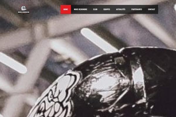 Site using Spotlight-social-photo-feeds plugin