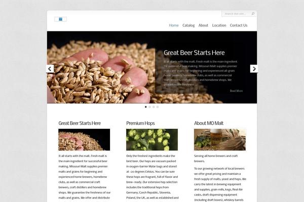 Chameleon theme site design template sample